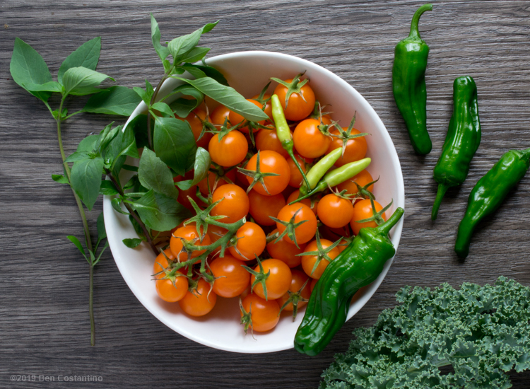 A harvest from urban gardening in Astoria Queens