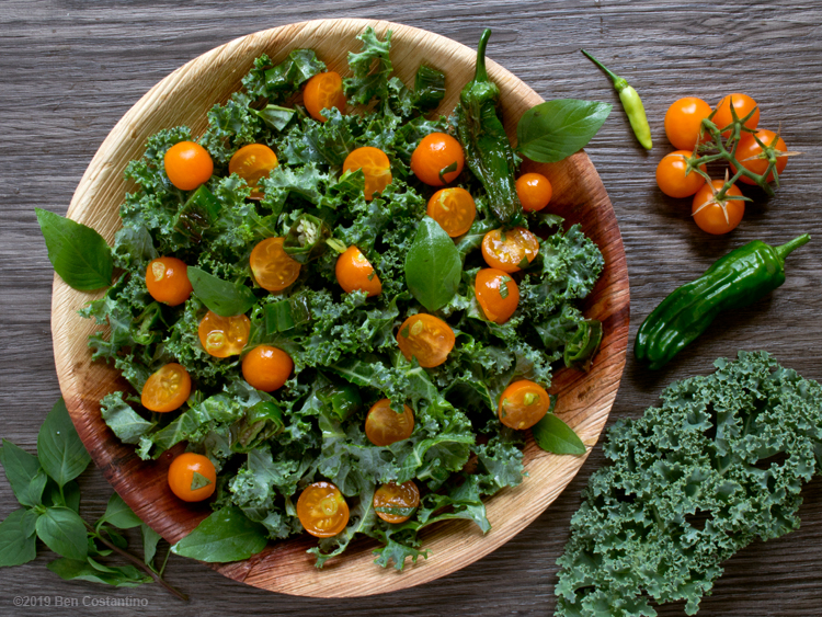 garden salad with kale, blistered Shishito peppers, yellow cherry tomatoes and Thai basil.