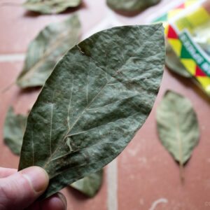 avocado leaf 