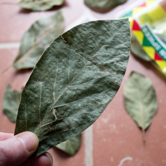 avocado leaf as seasoning in my shepherd's pie meat
