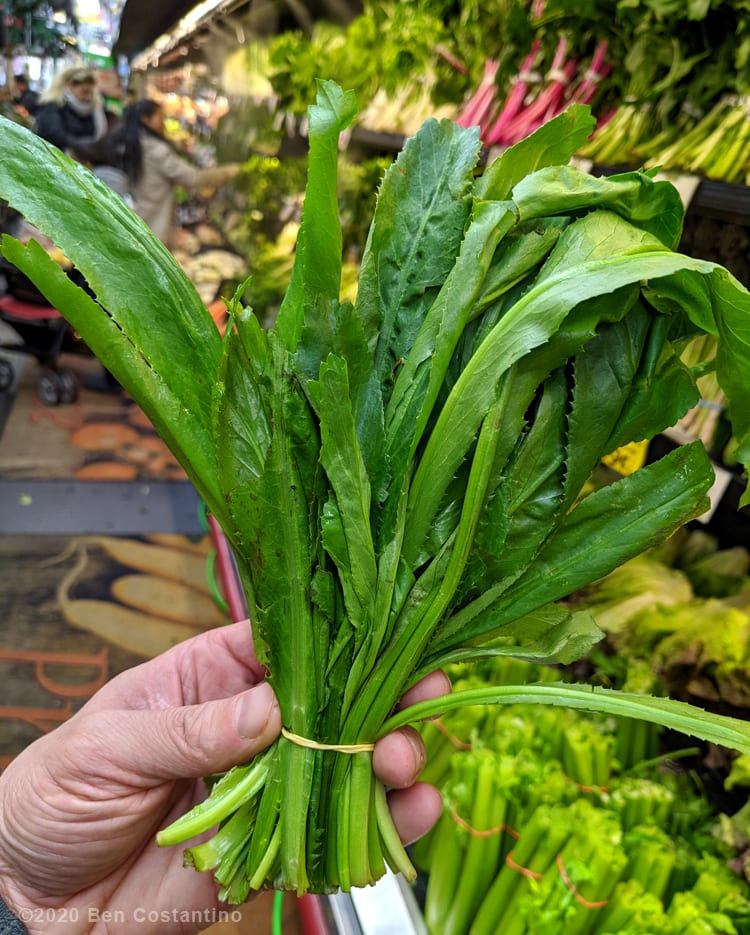 Fresh culantro from the store to be used in this shepherd's pie