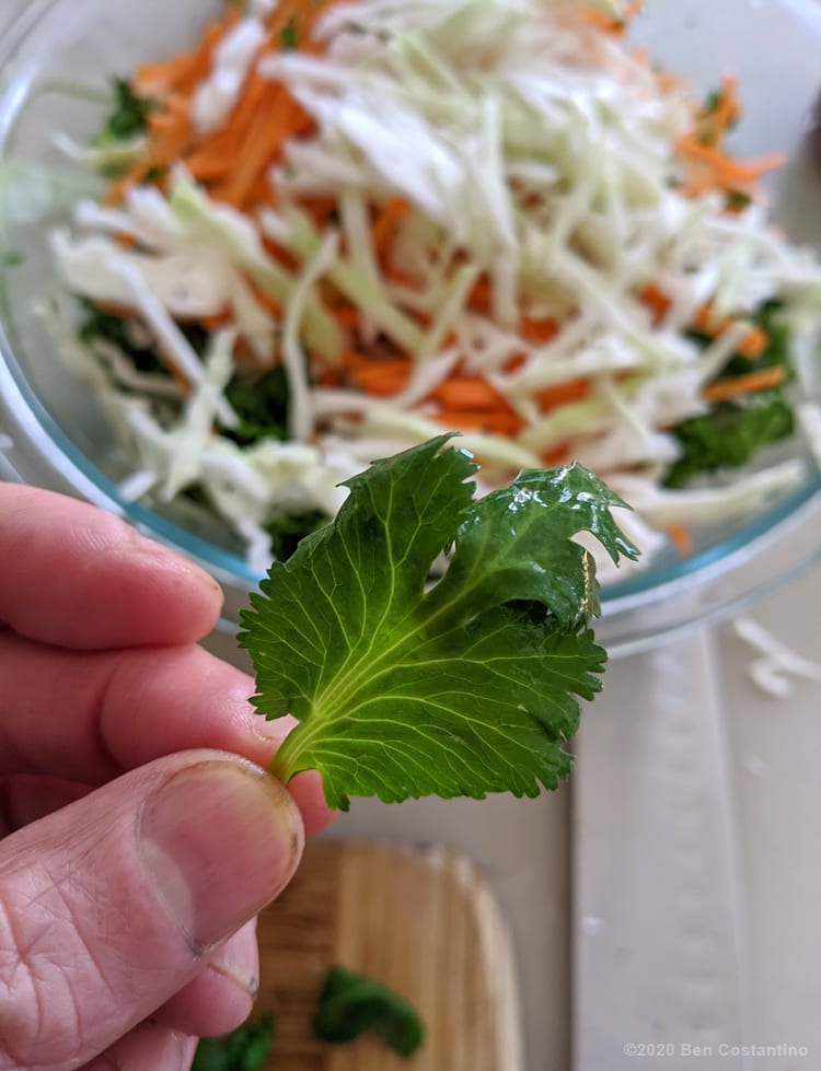 fresh cilantro being added 