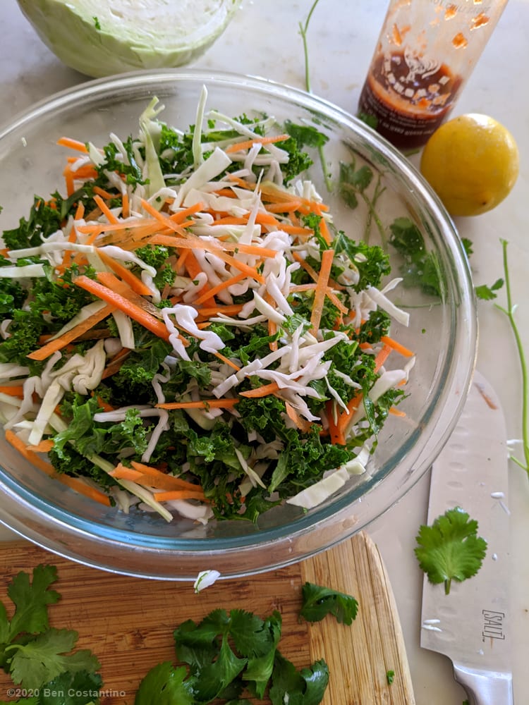 shredded veggies kale, carrot and cabbage with cilantro
