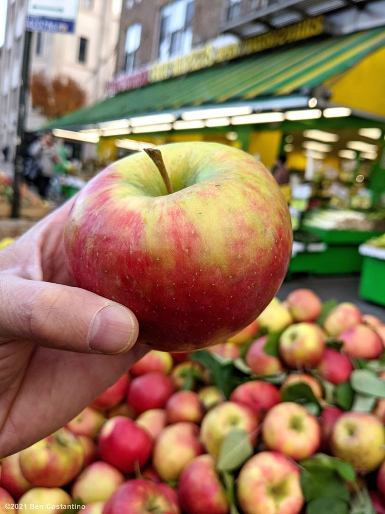 honeycrisp apples in Astoria Queens, NYC
